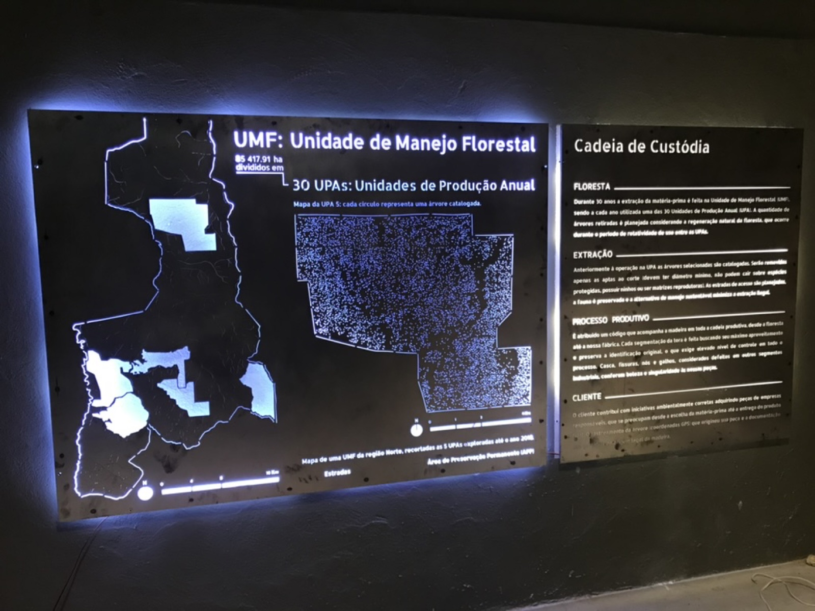 Painel sobre manejo florestal e cadeia de custódia