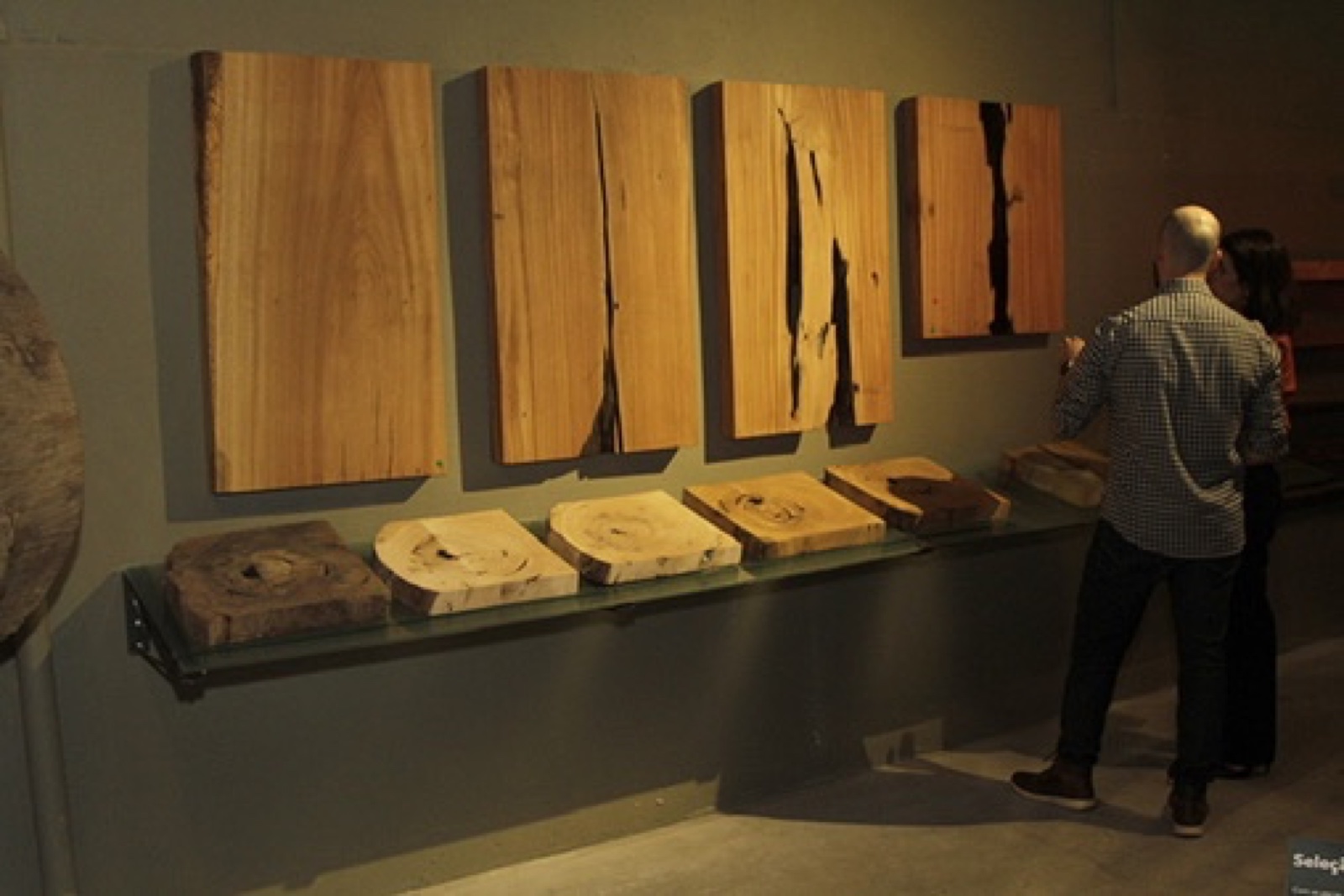 Amostras e quadros de madeira em exposição